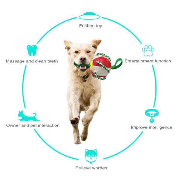 Dog Toys Soccer Ball with Grab Tabs, Interactive Dog Toys, Puppy Gifts, Dog Tug Toy, Dog Water Toy, Durable Dog Balls for Dog - Image 3