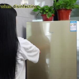 Top sale 2020 Sterilizer Sanitizer Air Purifier with Ozone Best Quality price