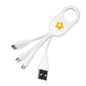 Burnside 4-In-1 Charging Cable 4CP (Q108422)