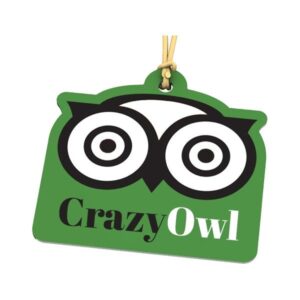 Full Color Plastic Luggage Tags (Q430322)