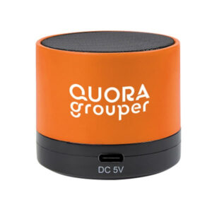 2.0 Wireless Mini Cylinder Speaker (Q619122)