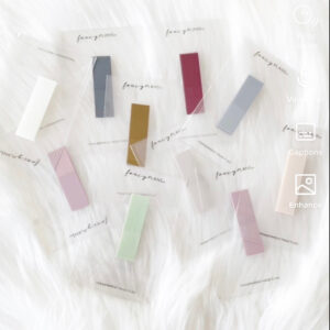 Page FLAG Transparent Sticky Note