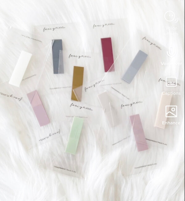 Page FLAG Transparent Sticky Note